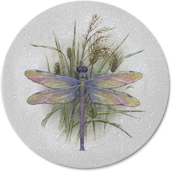 Thirstystone Dragonfly Coaster Set — 4